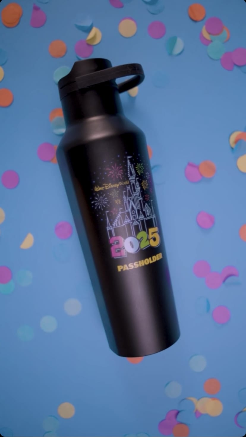 Black metal water bottle with "Walt Disney World 2025 Passholder" and a castle design, placed on a blue background with colorful confetti scattered around.