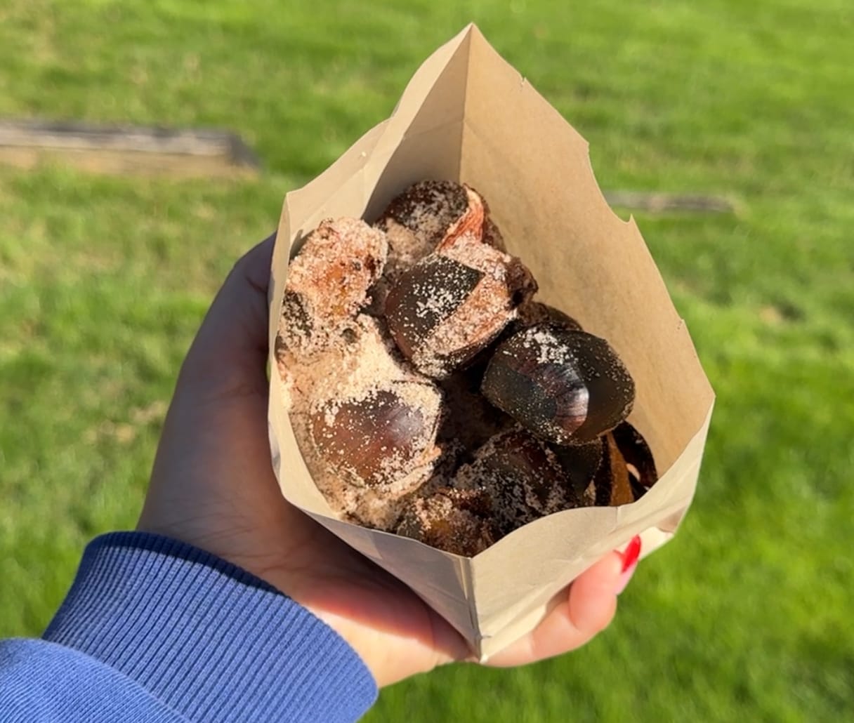 A hand holds a paper bag filled with roasted chestnuts, seasoned with spices, against a backdrop of green grass—a scene reminiscent of a magical day in the Magic Kingdom, perfectly captured for a 2024 photo report.