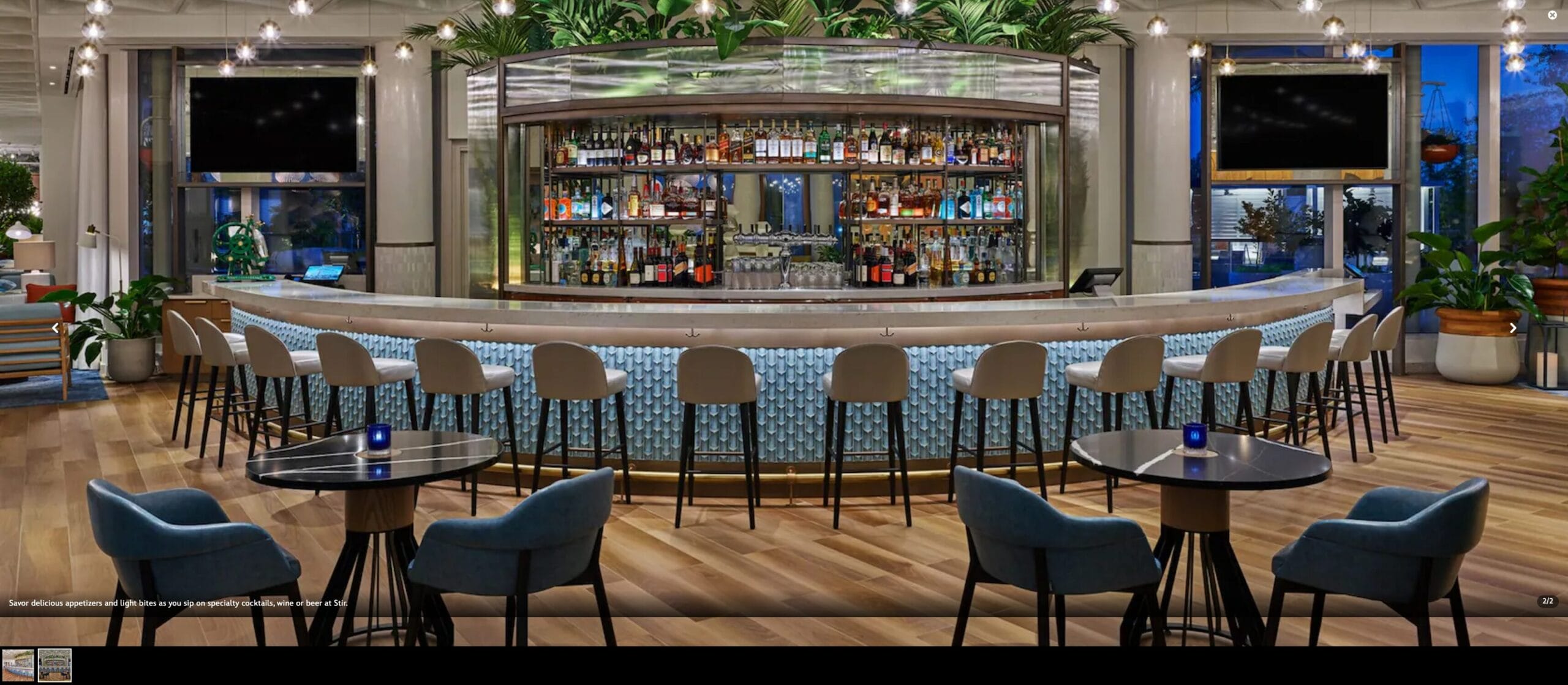 Modern bar with a curved counter, high chairs, liquor shelves, and plants, surrounded by tables and blue chairs.