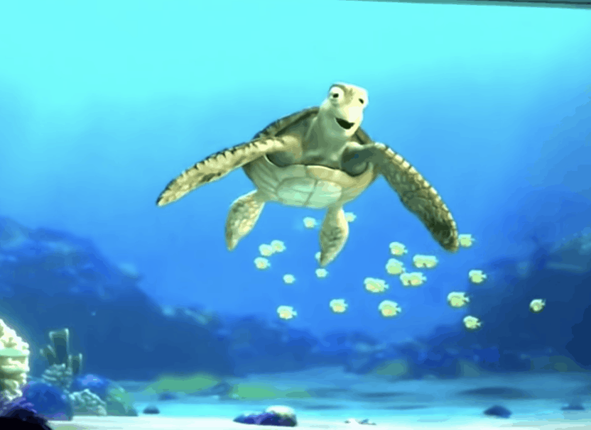 Animated sea turtle, Crush from Turtle Talk at WDW, swims underwater and smiles with yellow fish in a blue ocean background.