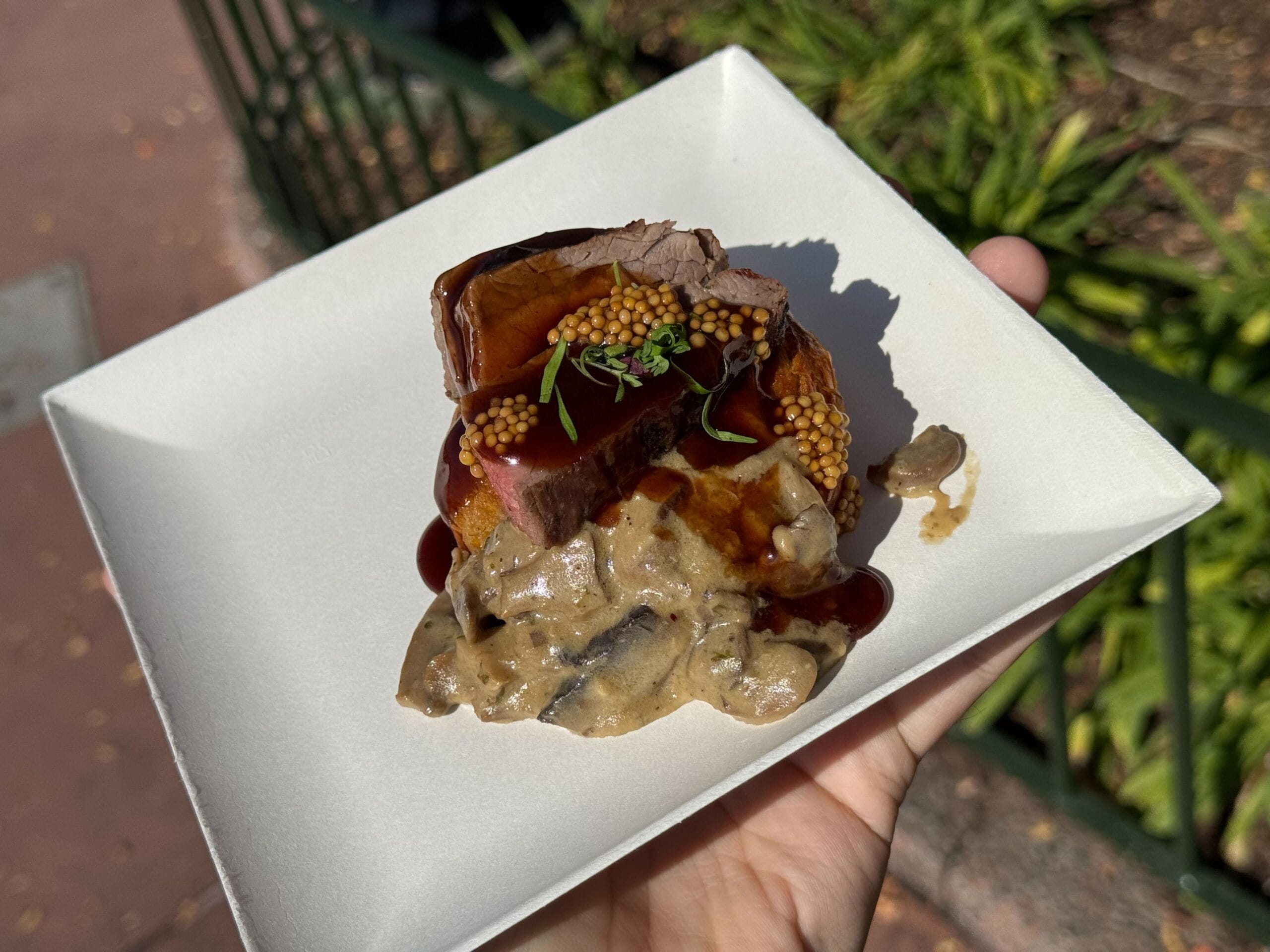 A square plate holds sliced beef topped with mustard seeds and herbs, accompanied by a creamy mushroom sauce, perfectly embodying the culinary flair of the Festival of the Arts. A hand supports the plate, with vibrant greenery visible in the background.