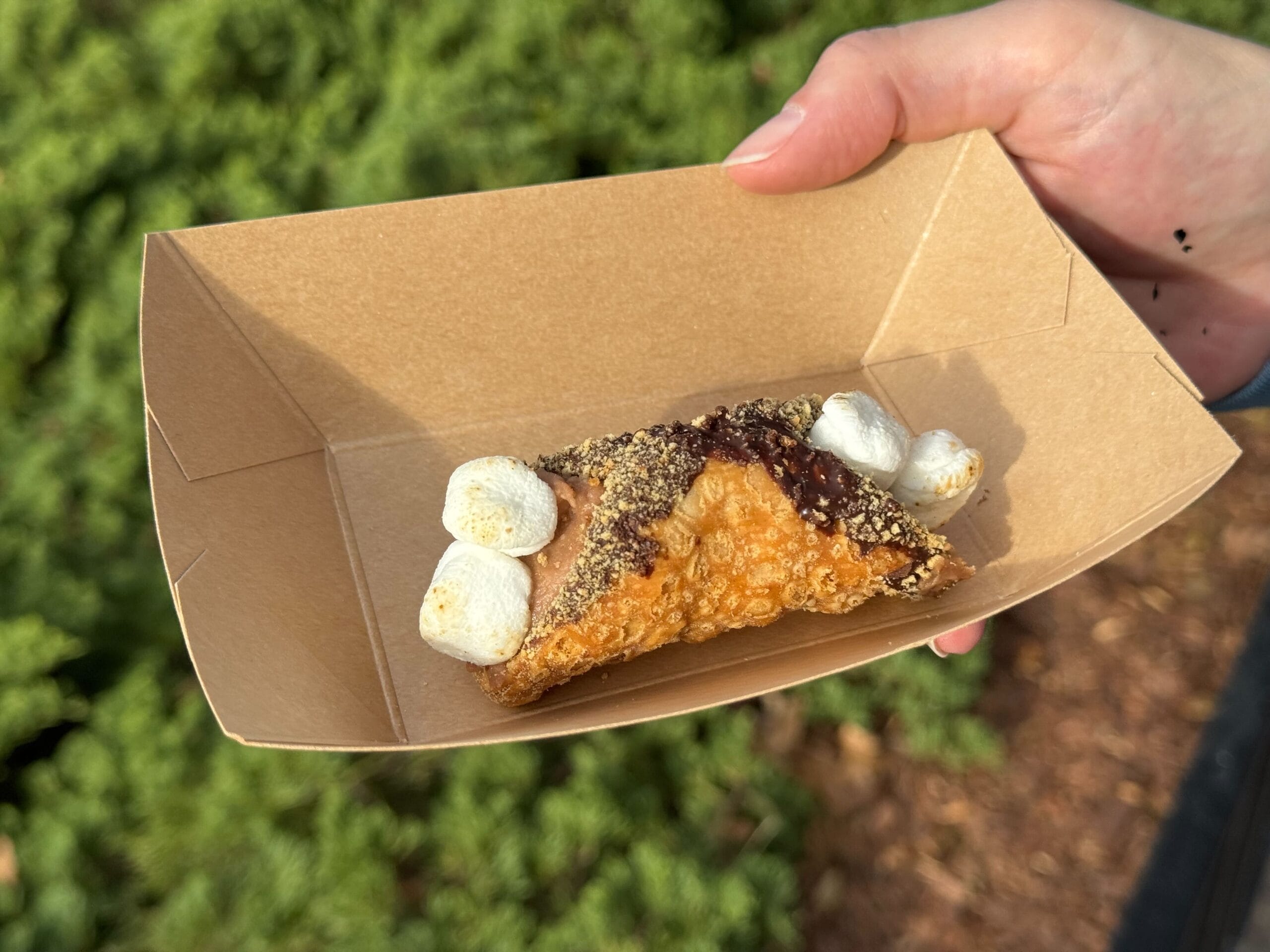 A hand holds a cardboard tray with a dessert featuring a pastry shell filled with chocolate and topped with toasted marshmallows, capturing the creative spirit of the Festival of the Arts.