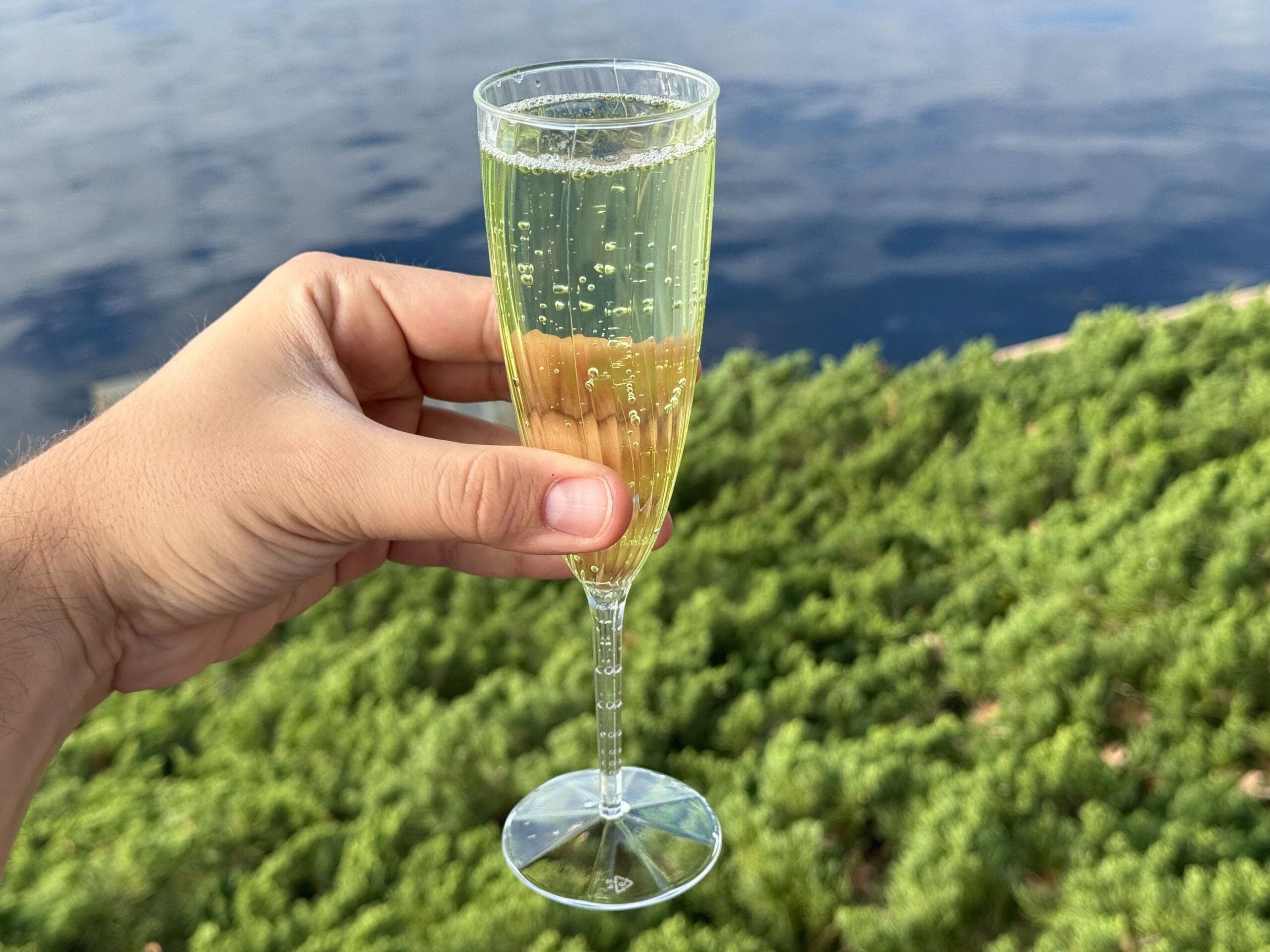 A hand holding a champagne flute filled with bubbly drink celebrates the Festival of the Arts, set against a serene background of greenery and water.