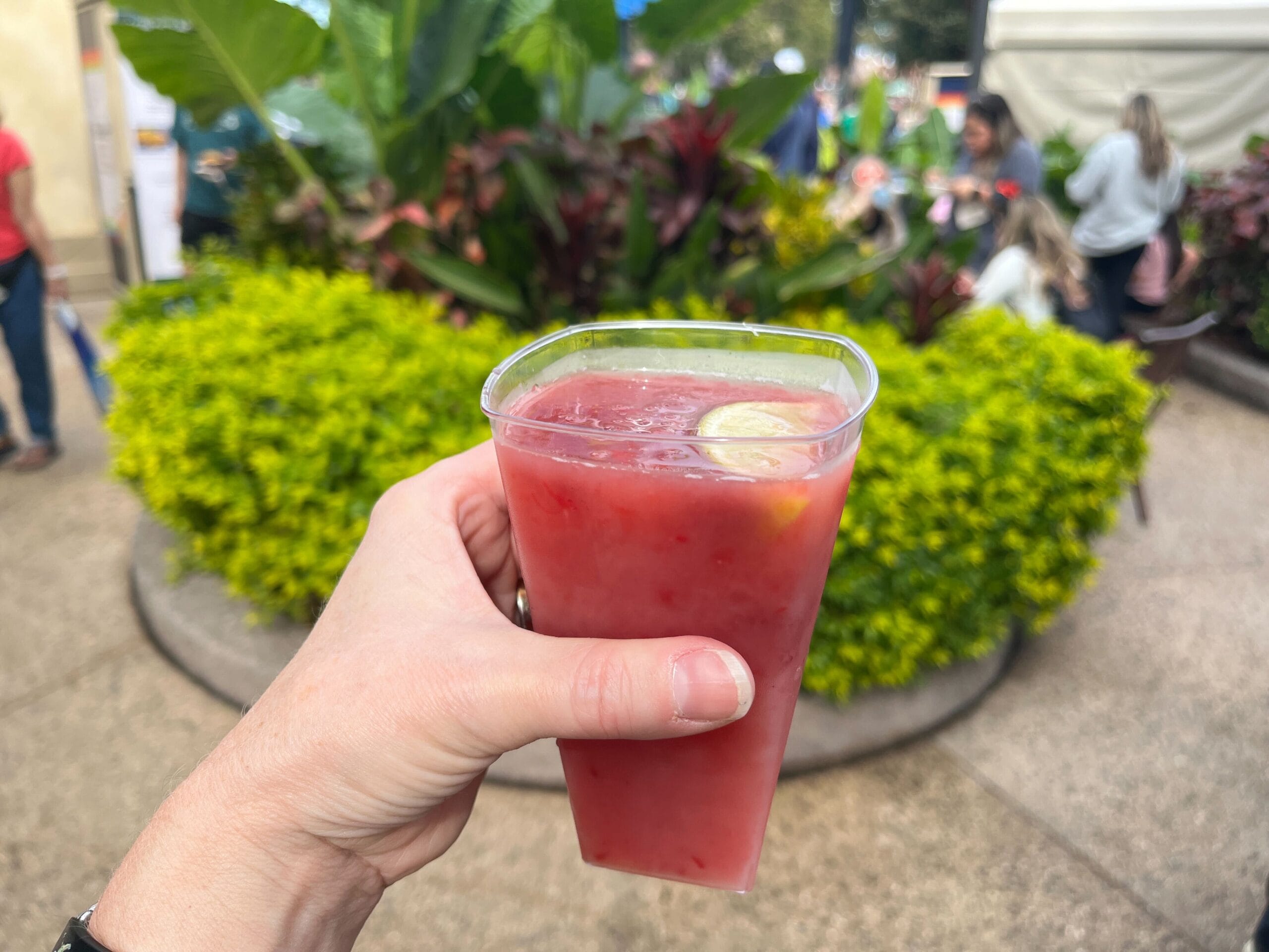 A hand holds a plastic cup filled with a red beverage, garnished with a lemon slice, capturing the vibrant essence of the Festival of the Arts. Green plants and people sitting at tables form the lively backdrop.