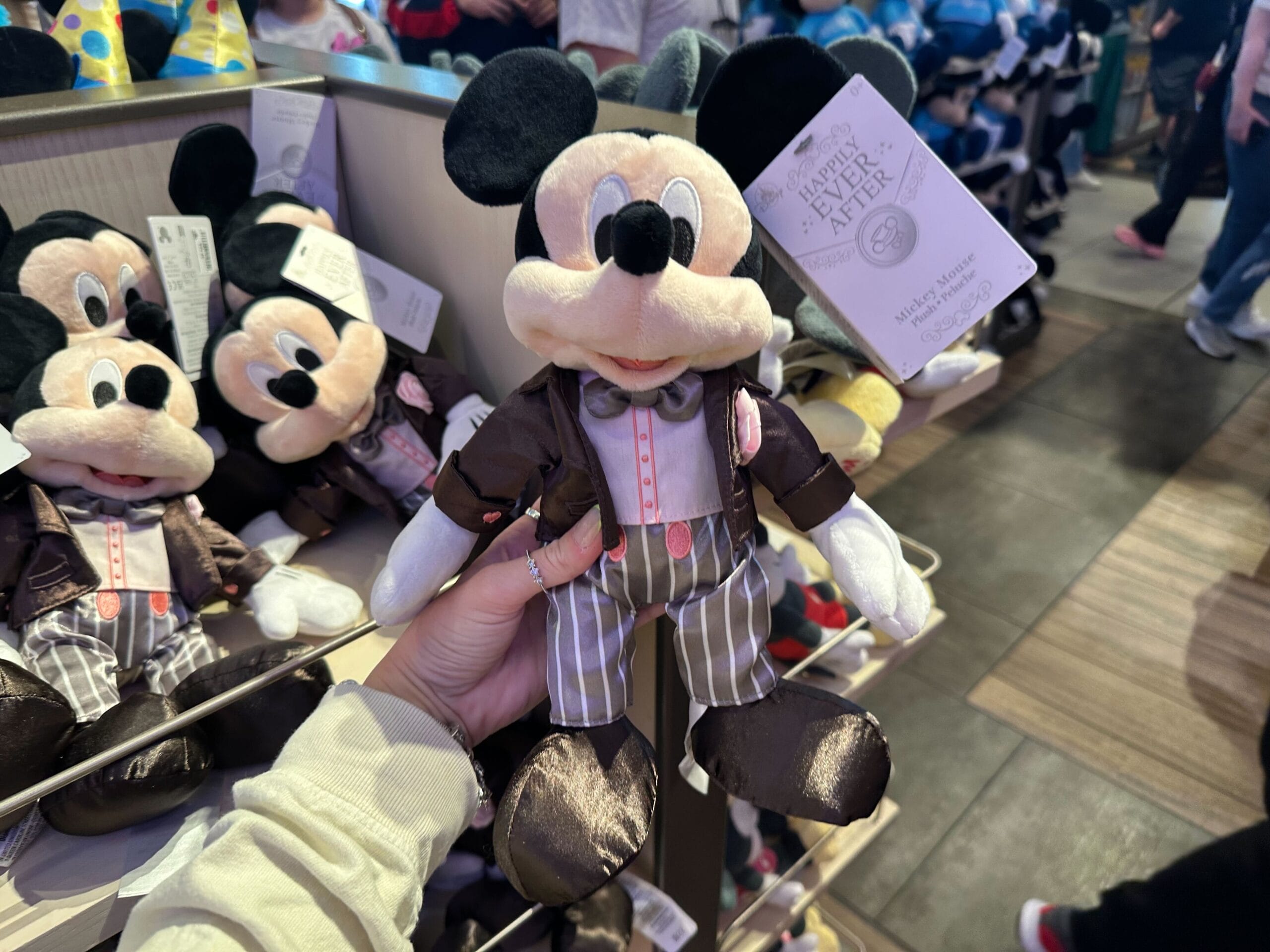 New 2025 Valentine's Day and Special Occasion Plush Arrive at Walt
