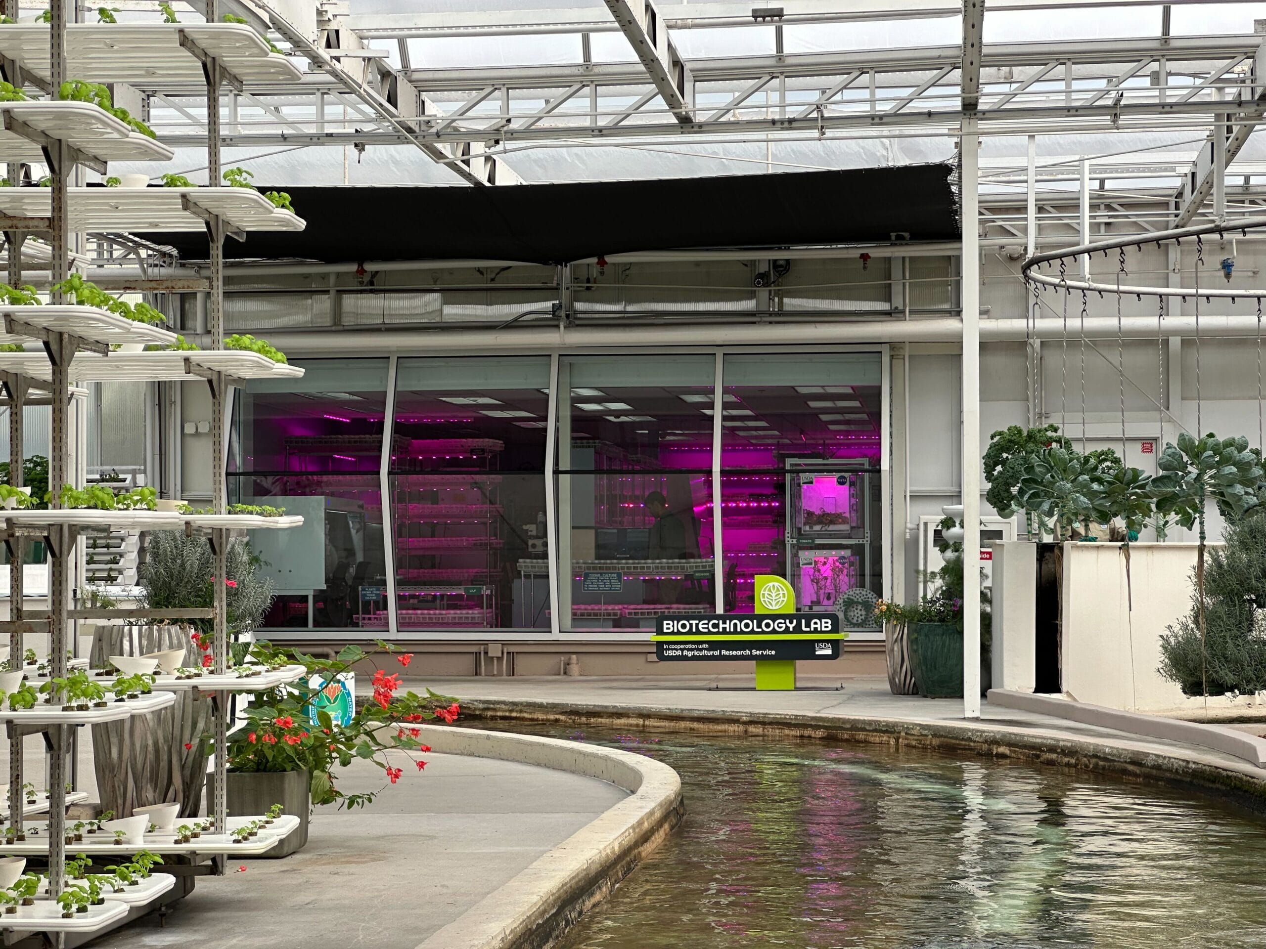 A greenhouse biotechnology lab with vertical hydroponic systems and a water stream in the foreground. LED lights illuminate the plants inside the lab.