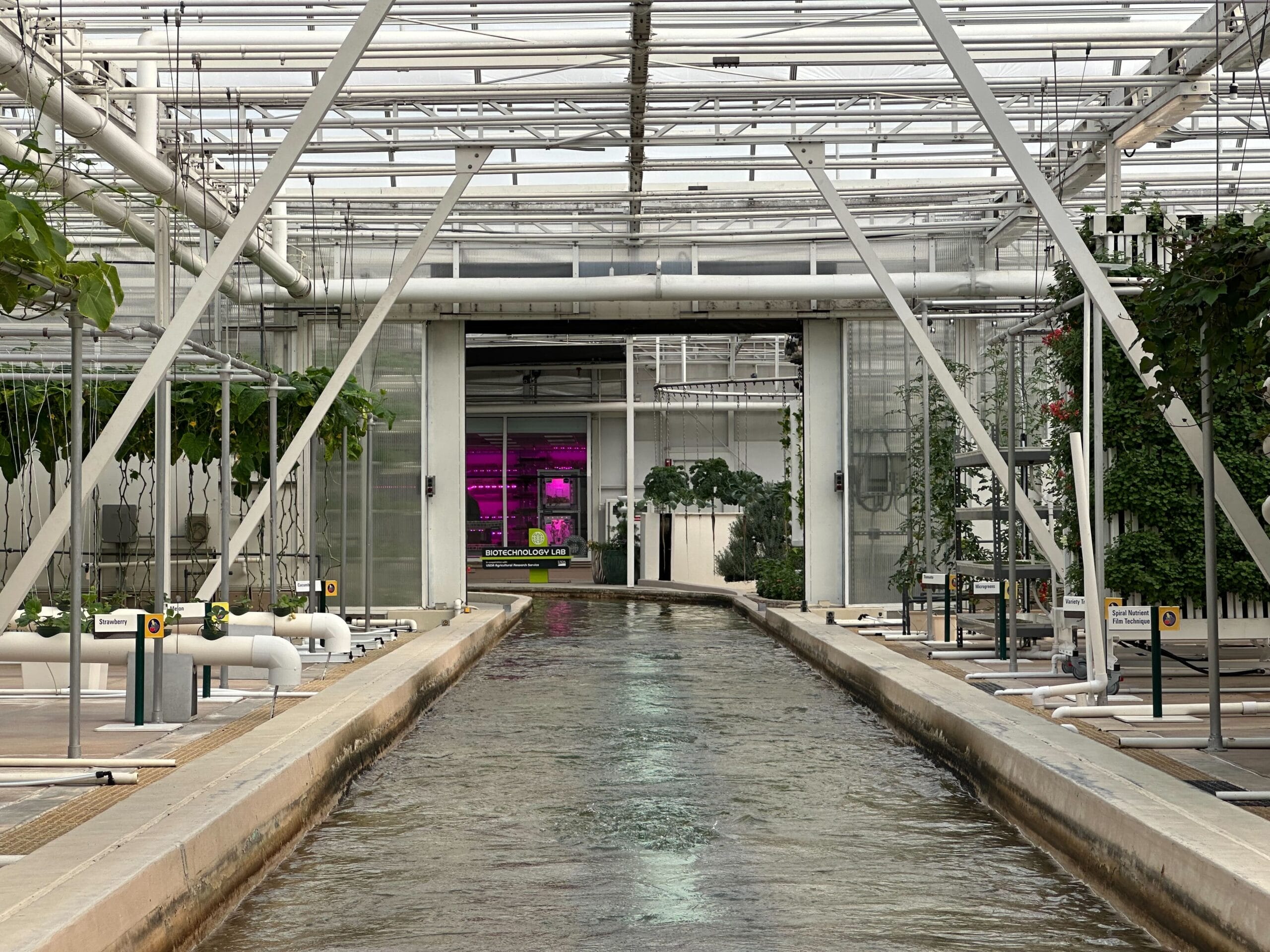 A modern greenhouse with a canal running through the center, featuring various plants on either side and an area with purple grow lights in the background.