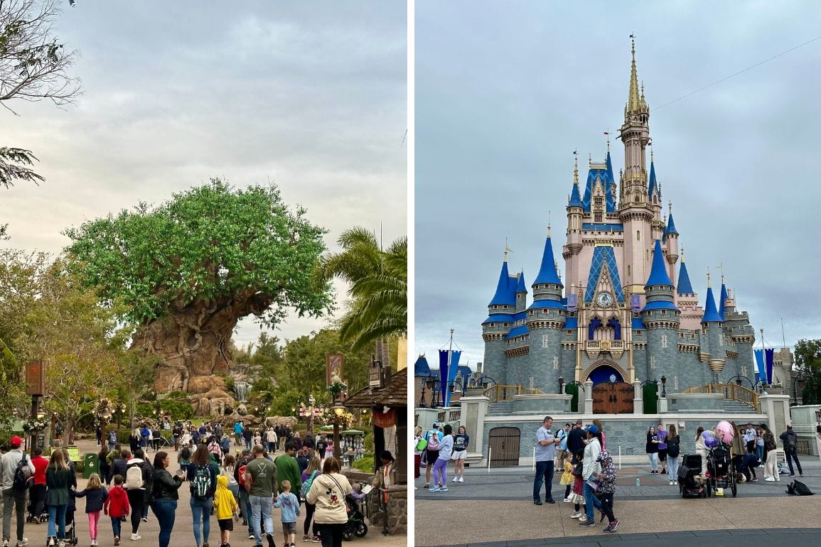 Visitors at the Magic Kingdom theme park are surrounded by enchanting sights, with a towering tree structure on the left and a majestic castle on the right.