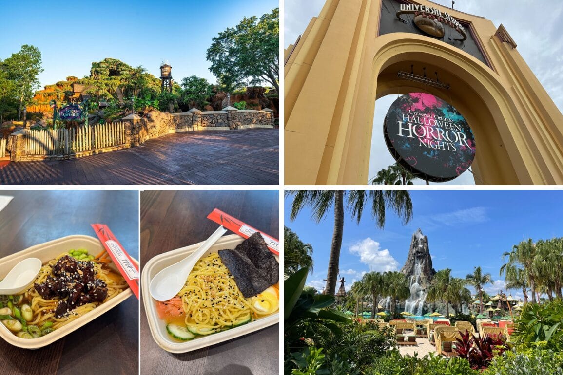 Collage of a theme park entrance, thrilling rides, and two exquisite noodle dishes in containers with chopsticks. Perfect for a daily recap of your adventure-filled day and culinary delights.