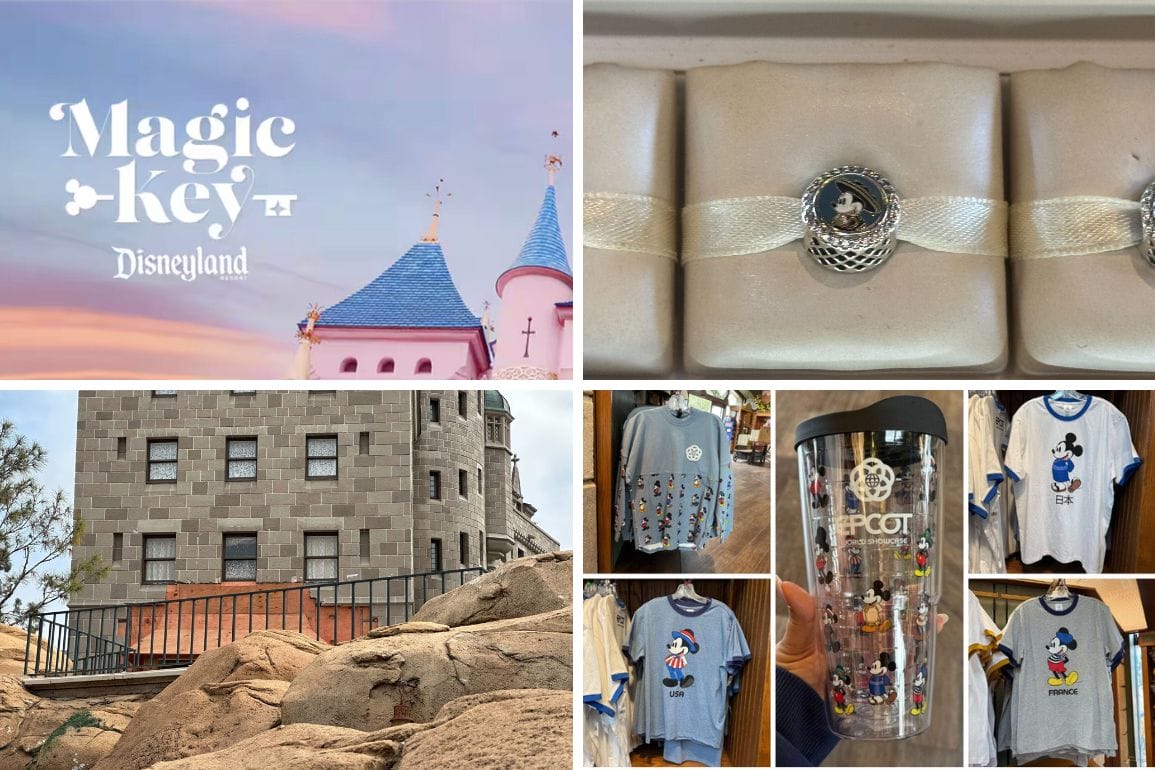 A daily recap collage featuring the Disneyland Magic Key sign, a charm with the Disney logo, a stone building, and an array of merchandise. Among the treasures are shirts and an EPCOT-themed tumbler, capturing the essence of a memorable Disney adventure.
