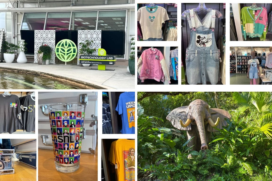 Collage of themed merchandise and attractions, including a biotechnology lab, clothing with cartoon logos, a character glass, and an elephant statue in a lush garden. Perfect for a daily recap of your adventures.