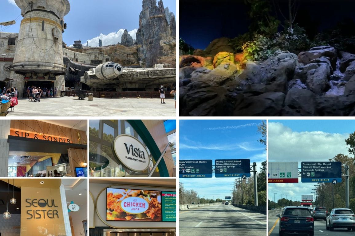 Collage of six images: sci-fi themed structure, rocky area at night, coffee shop interior, pharmacy sign, eatery counter, and highway signs—each snapshot captures a slice of a daily recap.