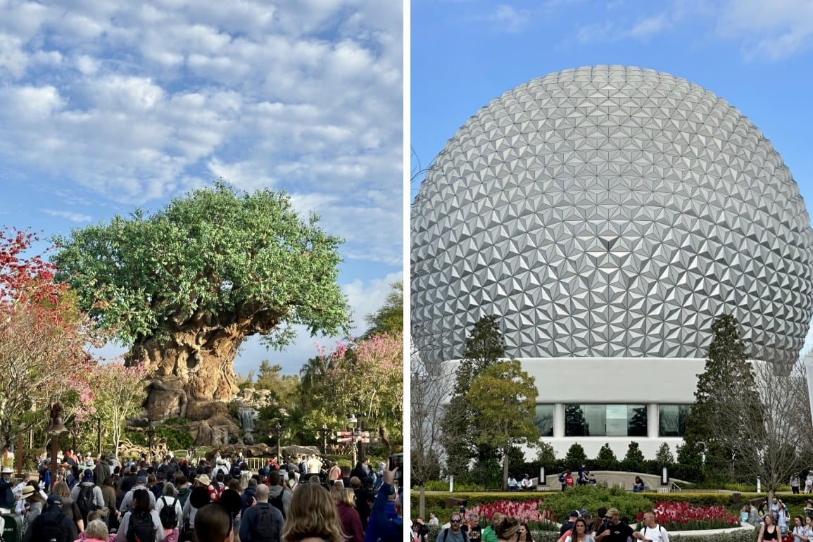 Left: A large artificial tree with carvings, reminiscent of Disney's Animal Kingdom, surrounded by a crowd under a blue sky. Right: A geodesic sphere structure, an iconic sight in EPCOT, with trees around it under a clear sky.