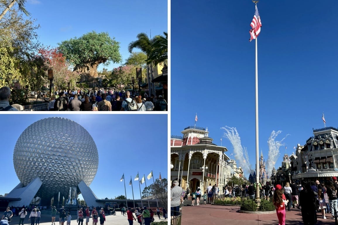 Collage of theme park scenes: a tree structure from Disney's Animal Kingdom, a large geodesic dome reminiscent of EPCOT, and a flagpole with surrounding crowd and buildings.