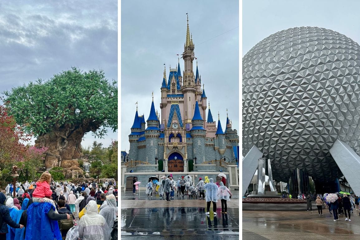 Collage of three theme park landmarks: the Tree of Life from Animal Kingdom, a fairytale castle from Magic Kingdom, and a large geodesic sphere from EPCOT. Crowds in rain gear mingle under overcast skies, adding a splash of color to the scene.