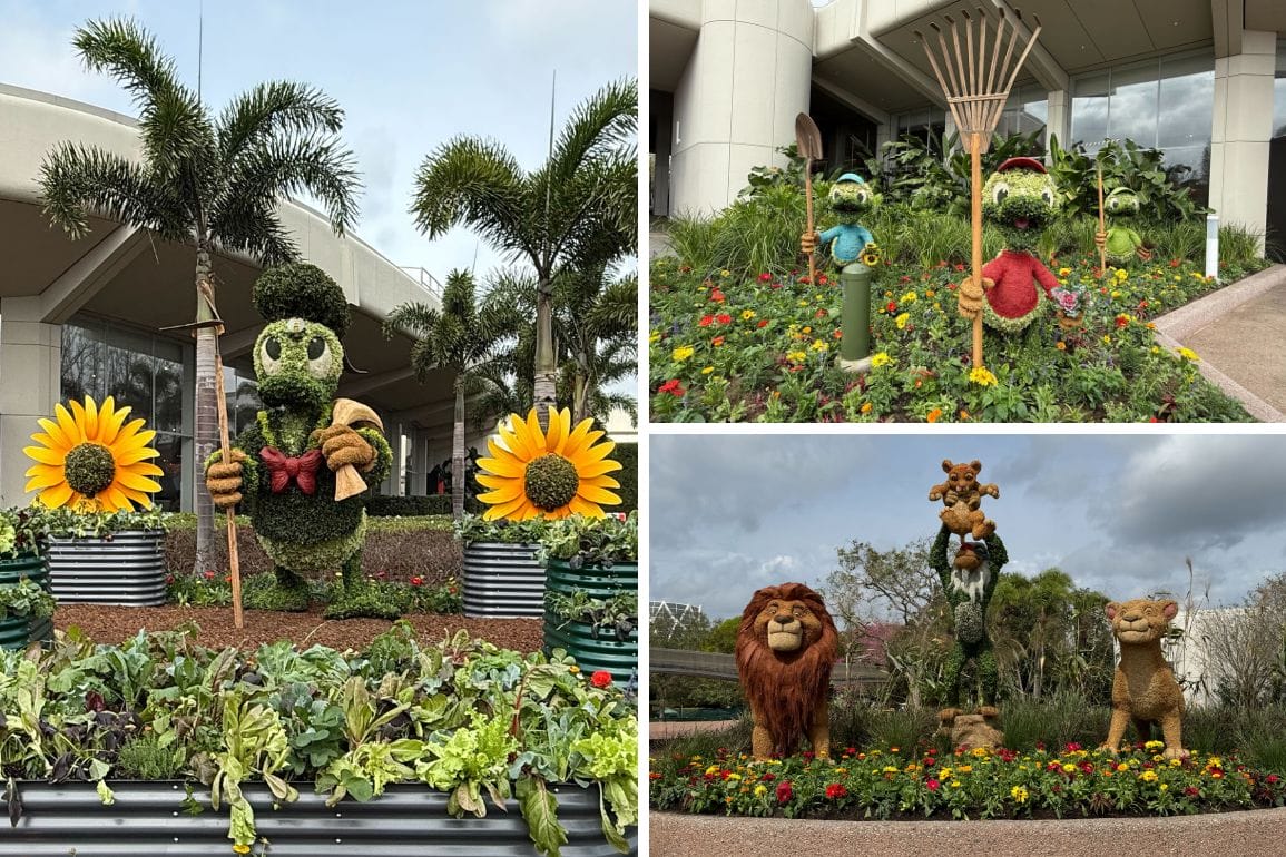 Three garden displays featuring enchanting topiaries: on the left, a turtle adorned with two sunflowers; the top right hosts four playful frogs, while the bottom right showcases lions and meerkats in an exciting safari theme.