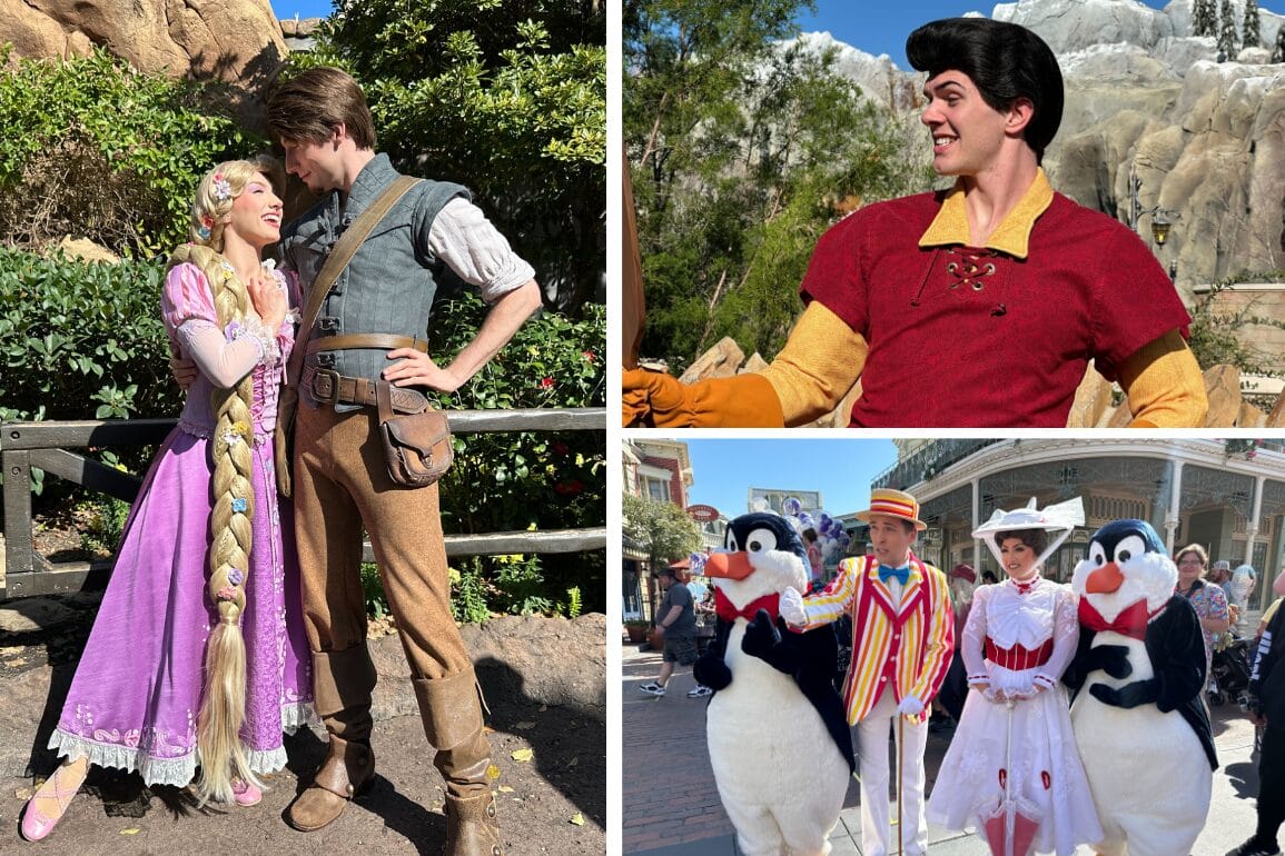 Collage of theme park characters: Left showcases a long-haired woman in purple alongside her partner in a vest. Top right is a man in red. Bottom right features two penguins, a man in stripes, and a woman in white.