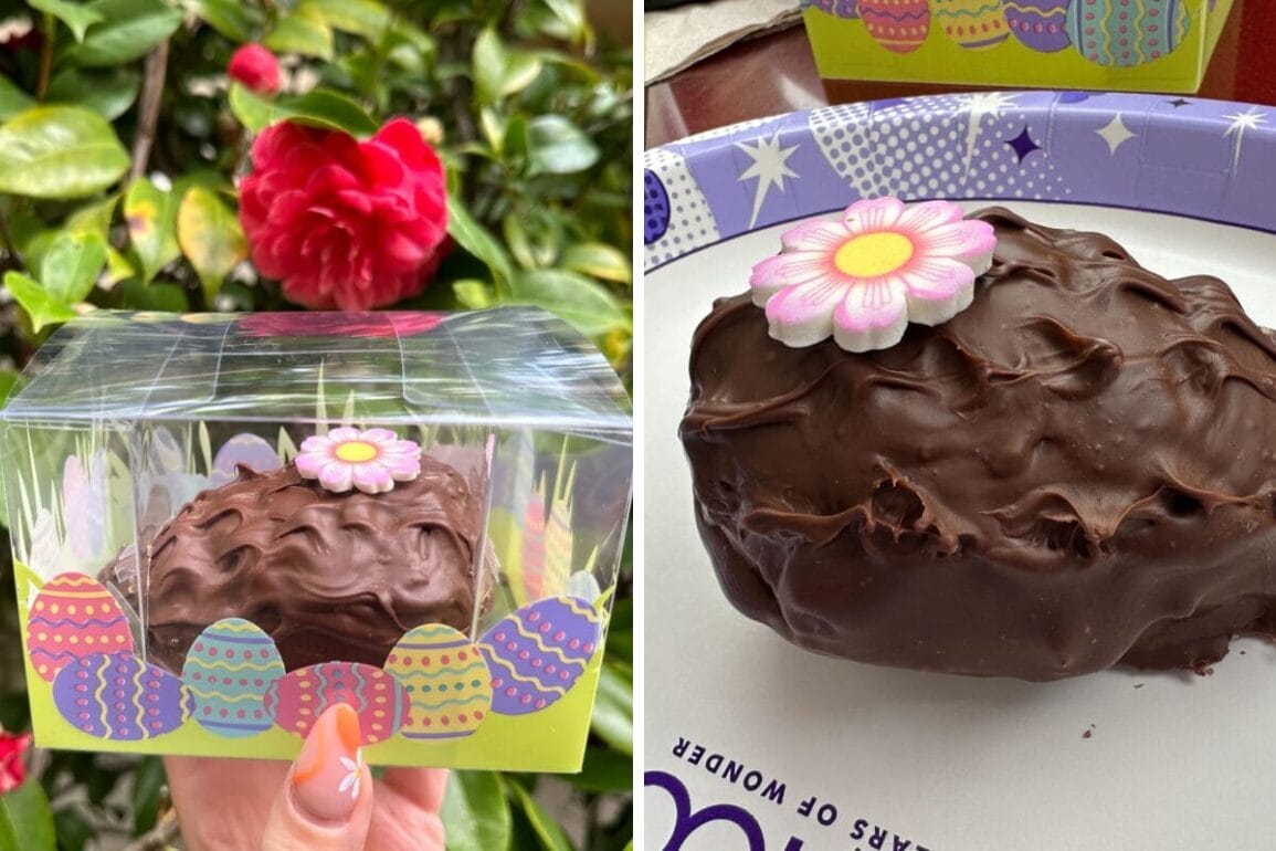 A chocolate Easter egg adorned with floral decorations is elegantly showcased in a clear box featuring vibrant Easter designs on the left. On the right, it rests on a paper plate, accompanied by a striking red flower in the background.