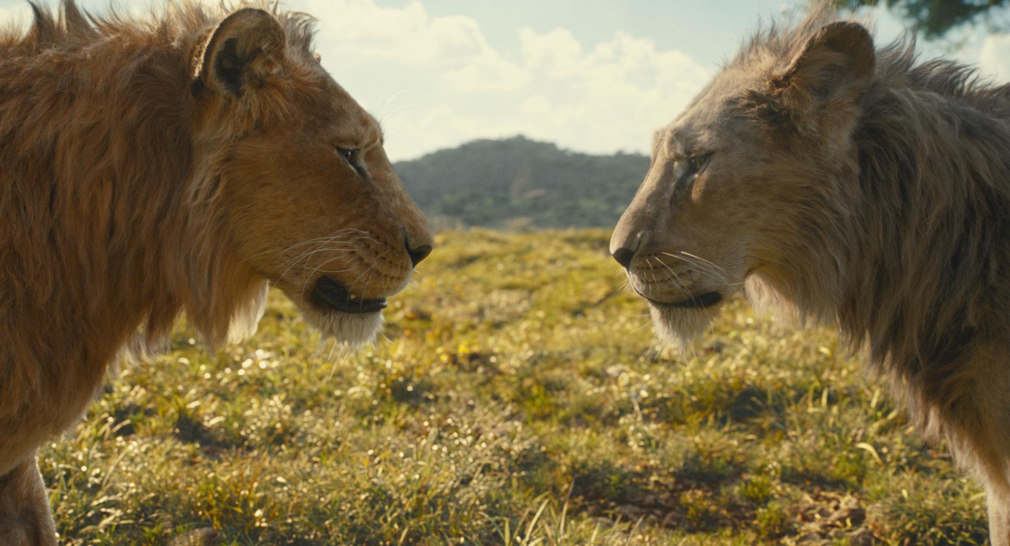 Two lions face each other on a grassy plain, reminiscent of Mufasa's majestic domain, with hills rolling in the background under a partly cloudy sky.