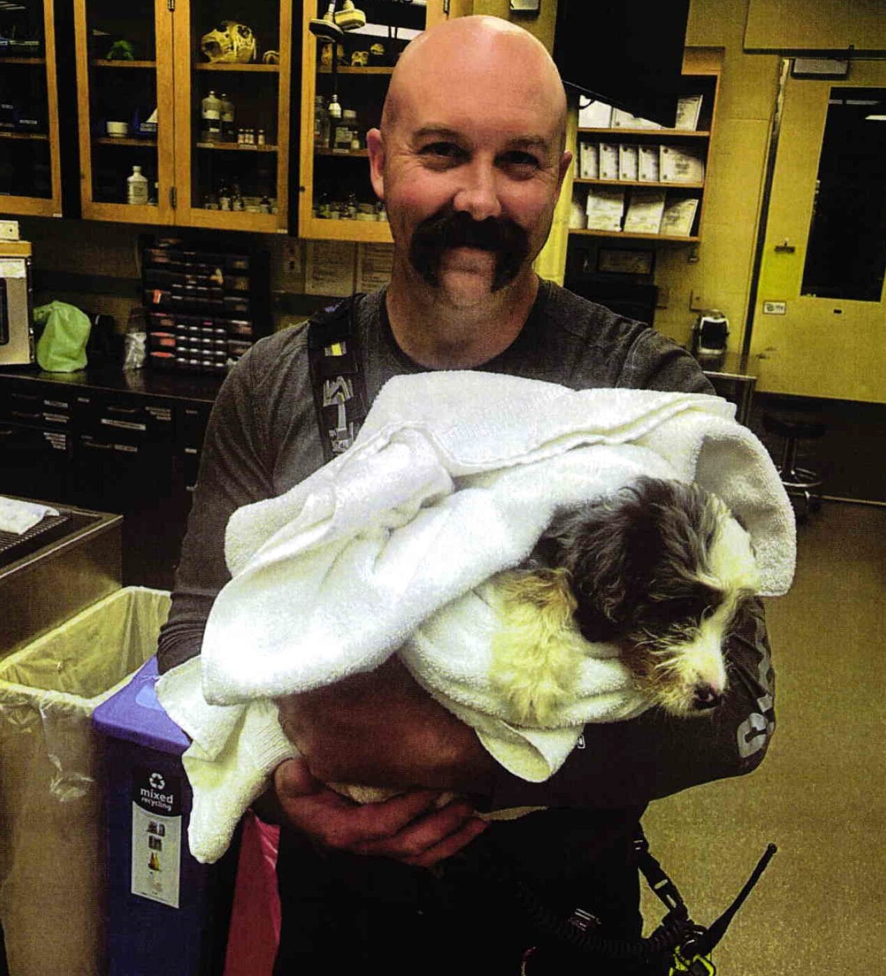 In a cozy room filled with shelves and knick-knacks, a person gently cradles a small dog wrapped in a white towel. It’s reminiscent of those heartwarming moments at Disney Springs where you can adopt puppies and change their world forever.