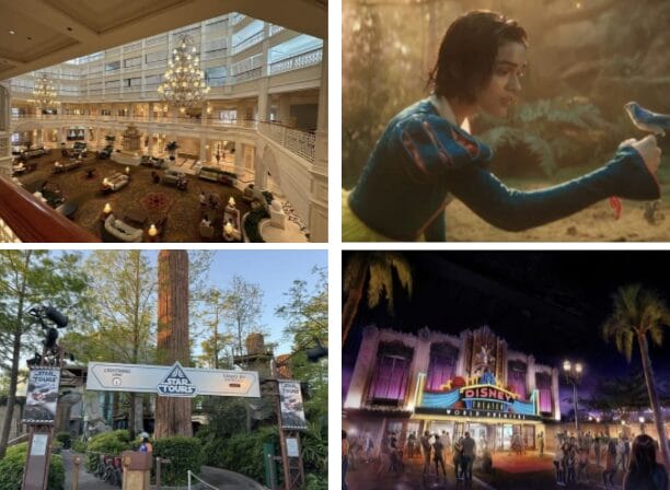 A hotel lobby, a person in costume with a bird, and the vibrant Star Tours entrance set a magical scene at Disney’s Hollywood Studios. Catch this nightly spectacle glowing under the stars, capturing memories perfect for your daily recap.