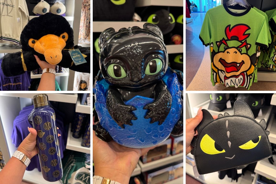 Explore the epic universe of merchandise with must-have items: a black plush toy, a dragon figurine, a cartoon character shirt, a themed water bottle, and a dragon-themed purse.