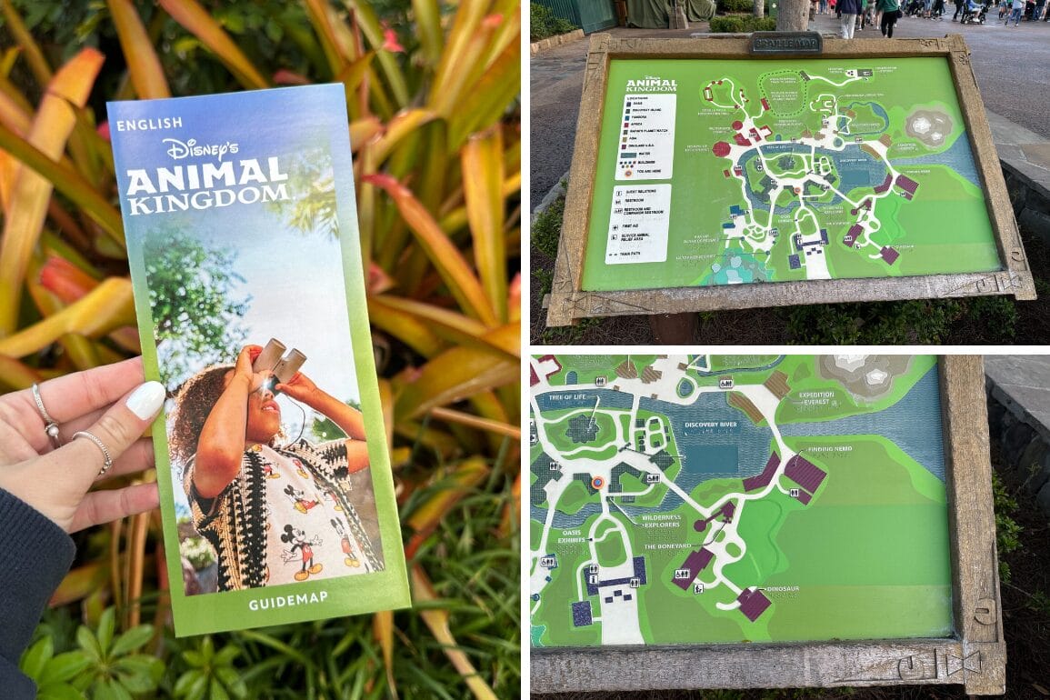 A hand holding Disney's Animal Kingdom guidemap, featuring "It's Tough to Be a Bug," is shown next to two images of park maps on informational boards.