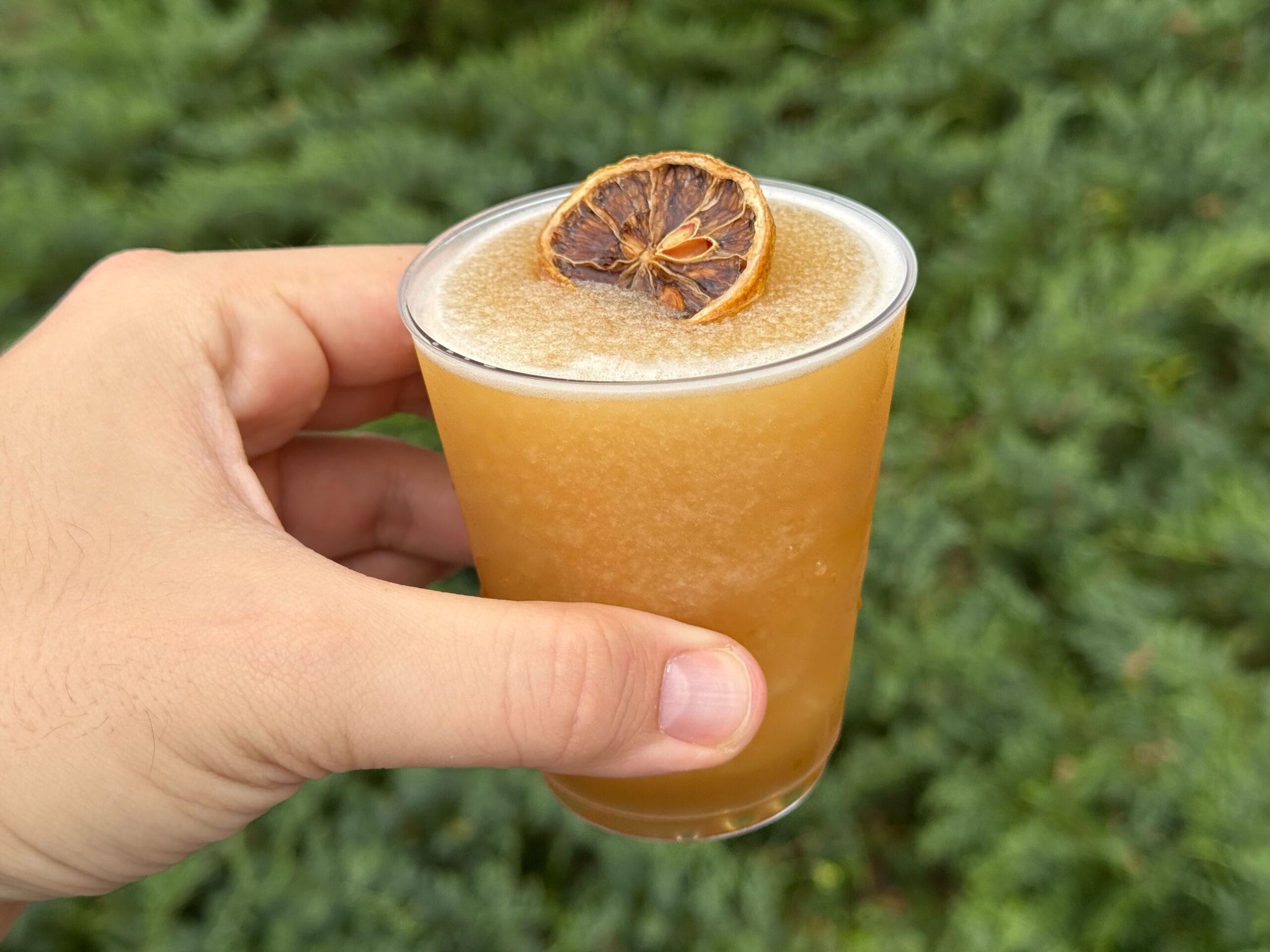 A hand holding a glass of orange frozen drink, garnished with a dried citrus slice, effortlessly captures the essence of the Flower & Garden Festival, as vibrant green foliage flourishes in the background.