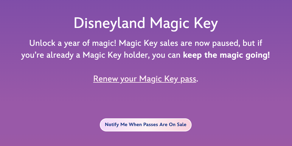 Purple background with text promoting Disneyland Magic Key. It mentions sales are paused but existing holders can renew. A button for sale notifications is present.