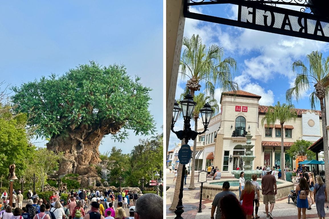 Left: People walk towards a large, artificial tree with carvings reminiscent of Disney’s Animal Kingdom. Right: Crowds stroll through Disney Springs, exploring new merchandise among palm trees and a water fountain on a sunny day.