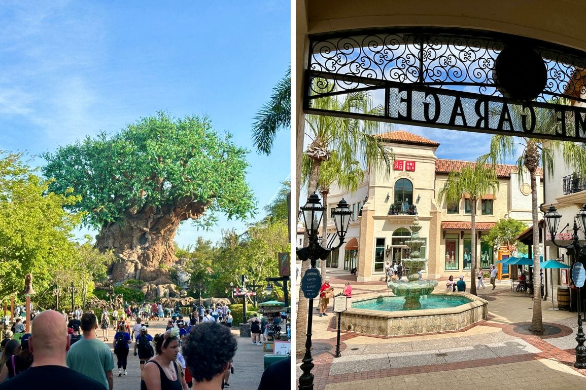 Split image: Disney's Animal Kingdom Tree of Life left, Disney Springs fountain and shops right—perfect for a photo report.