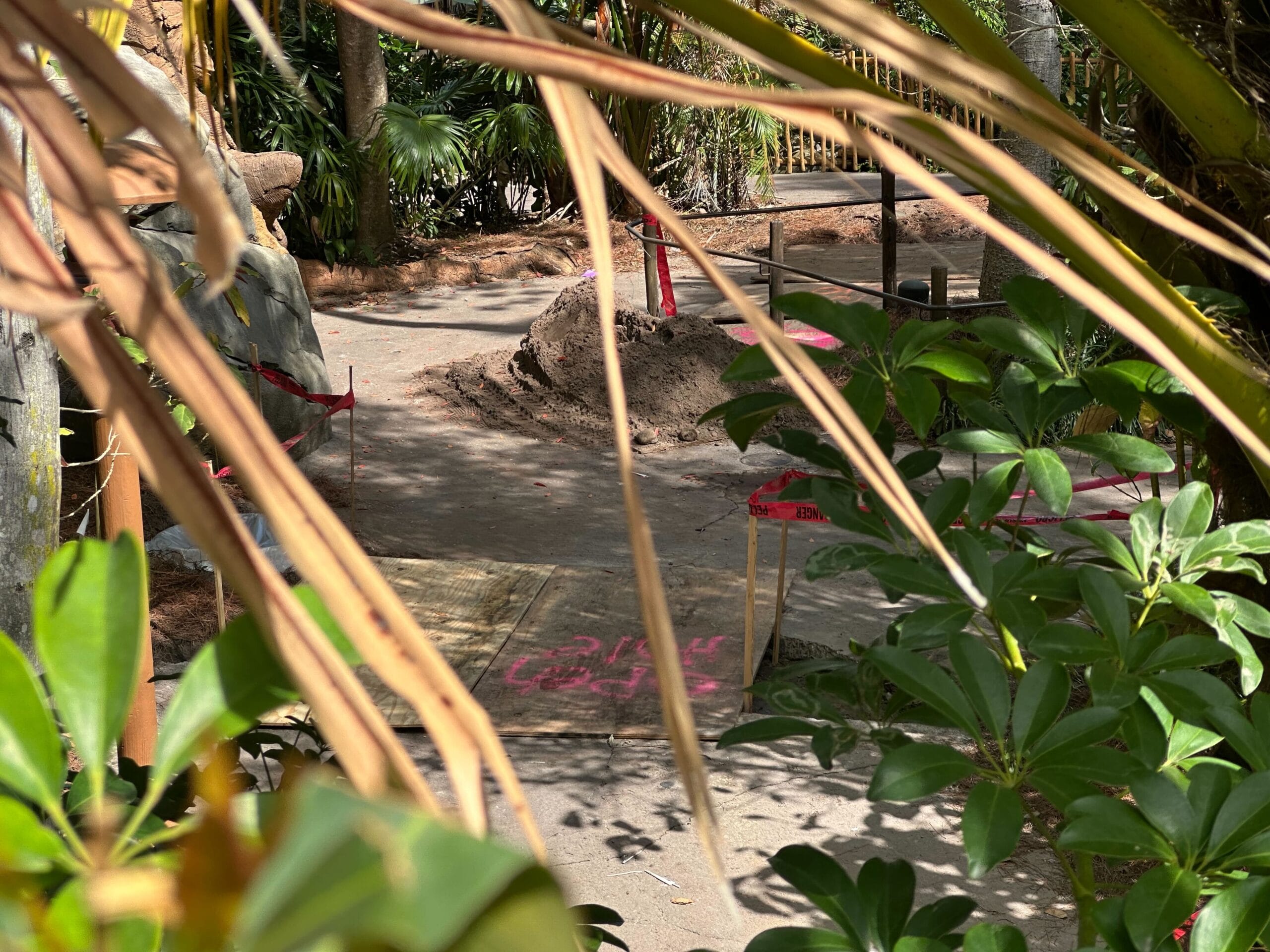 A pathway under construction is surrounded by plants and marked with pink chalk and red tape in a tropical setting.
