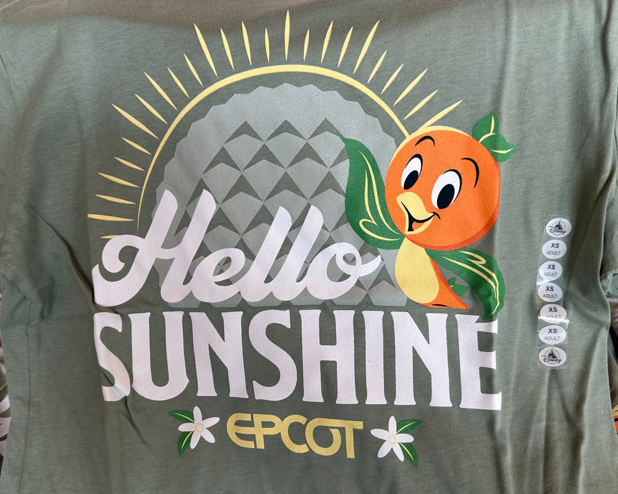 Green T-shirt featuring the delightful EPCOT Orange Bird cartoon character with leaves, a sunburst, and the text "Hello Sunshine.