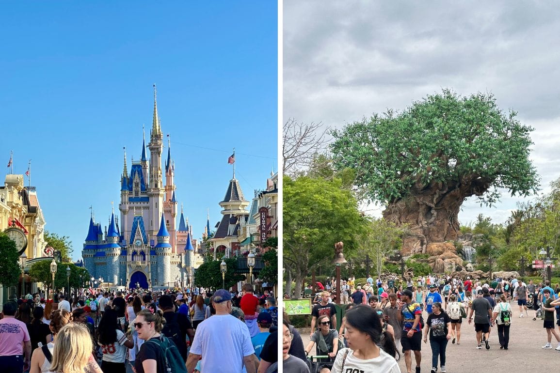 Crowds of people stroll in front of a large castle, reminiscent of the Magic Kingdom, with multiple towers on the left and a huge tree with green leaves on the right, echoing the lush vibes of Disney's Animal Kingdom.