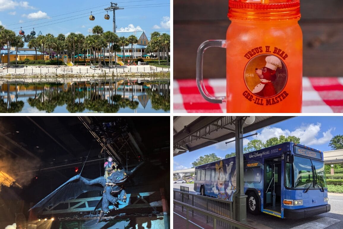 A daily recap collage: Disney World scenes with the Skyliner, red drink, How to Train Your Dragon show, and a Disney bus.