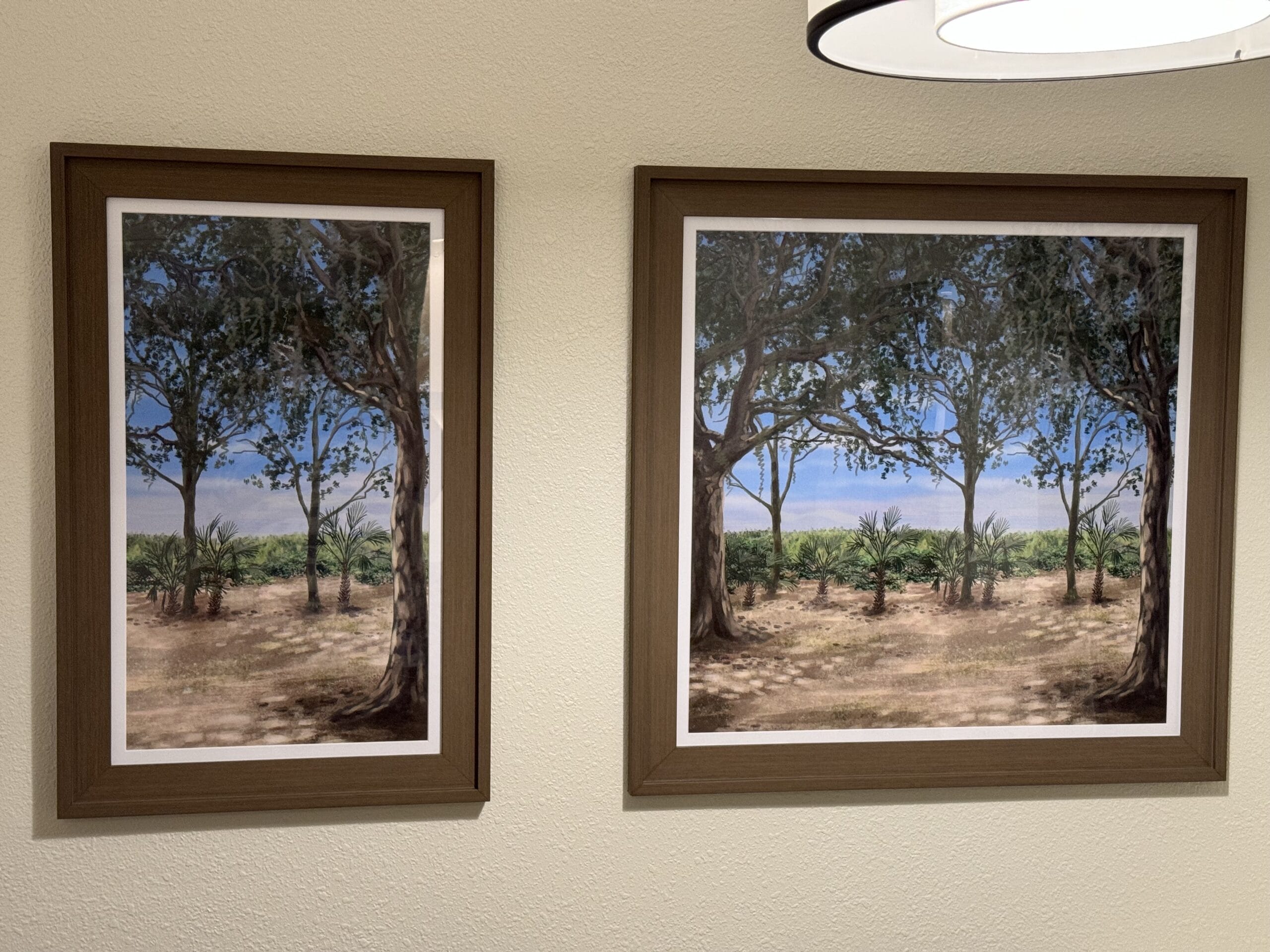Two framed paintings of trees and fields grace the beige wall of a remodeled 1-bedroom villa at Disney's Hilton Head Island Resort, positioned side by side under a ceiling light, offering guests an inviting glimpse into the serenity of nature.