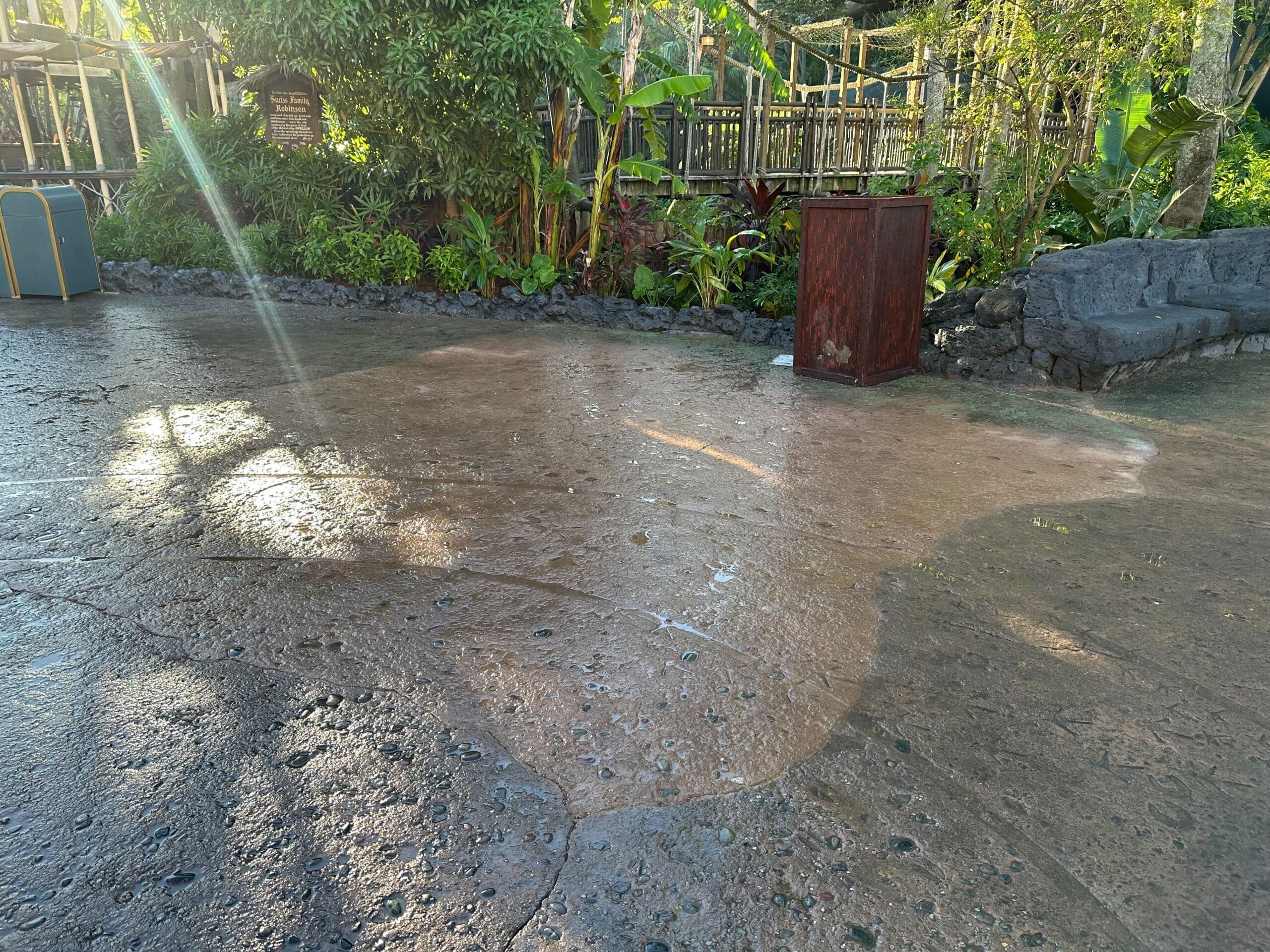 A sunlit pathway in Adventureland, dotted with a large wet patch, is surrounded by lush greenery and a few whimsical objects that evoke the enchanting spirit of Walt Disney Imagineering.