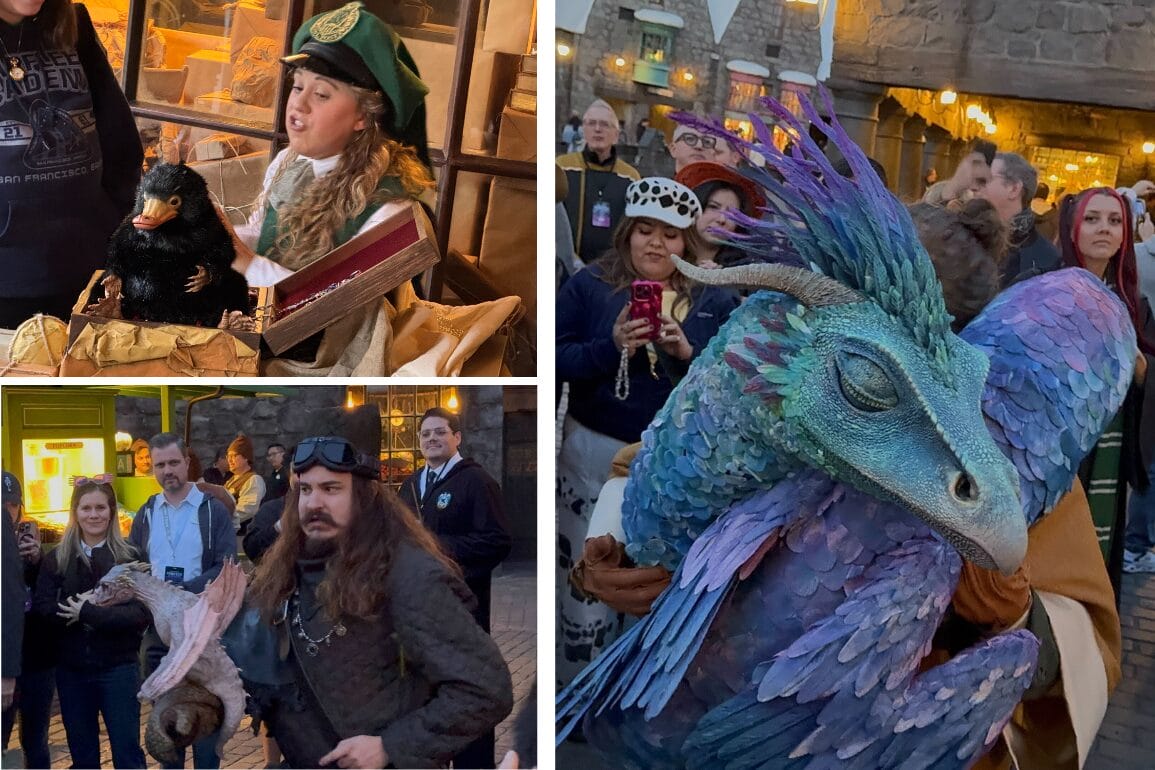 Three images show people in costumes with realistic magical creatures at a fantasy-themed event, drawing a crowd.