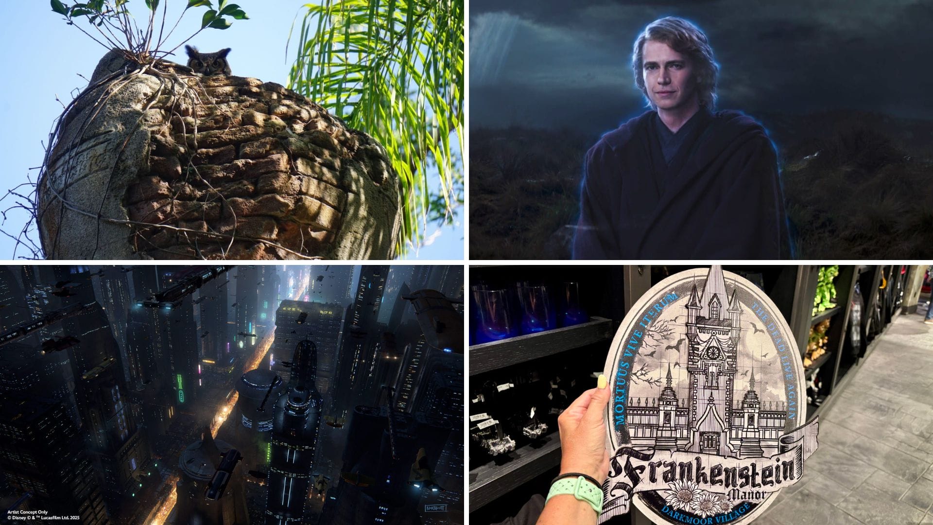 Daily Recap 4/19/25: A collage—cat on stone, man in dark clothes, futuristic city, and souvenir in hand.