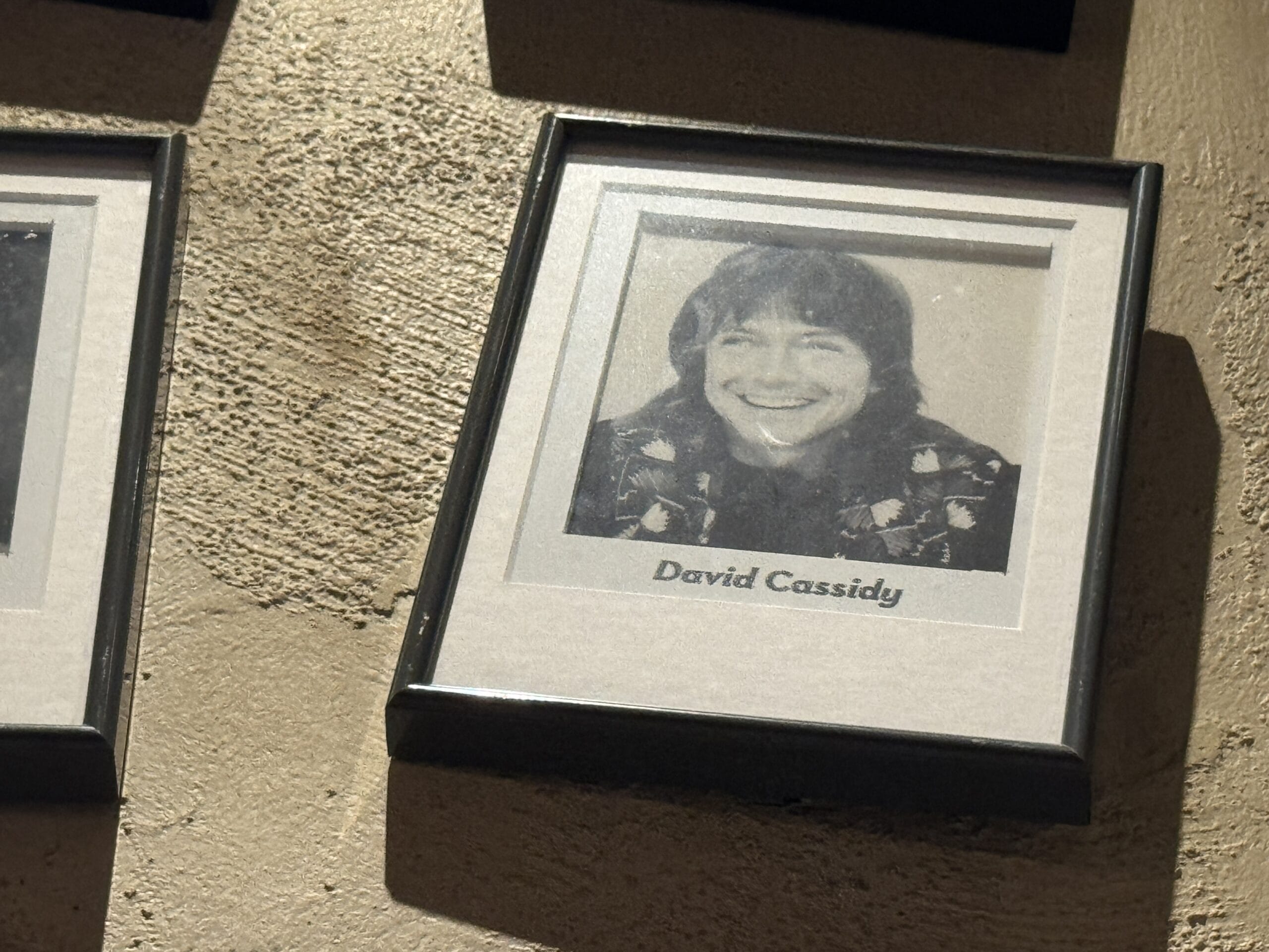 Framed black and white photo of David Cassidy at Mama Melrose’s Ristorante Italiano in Disney's Hollywood Studios.