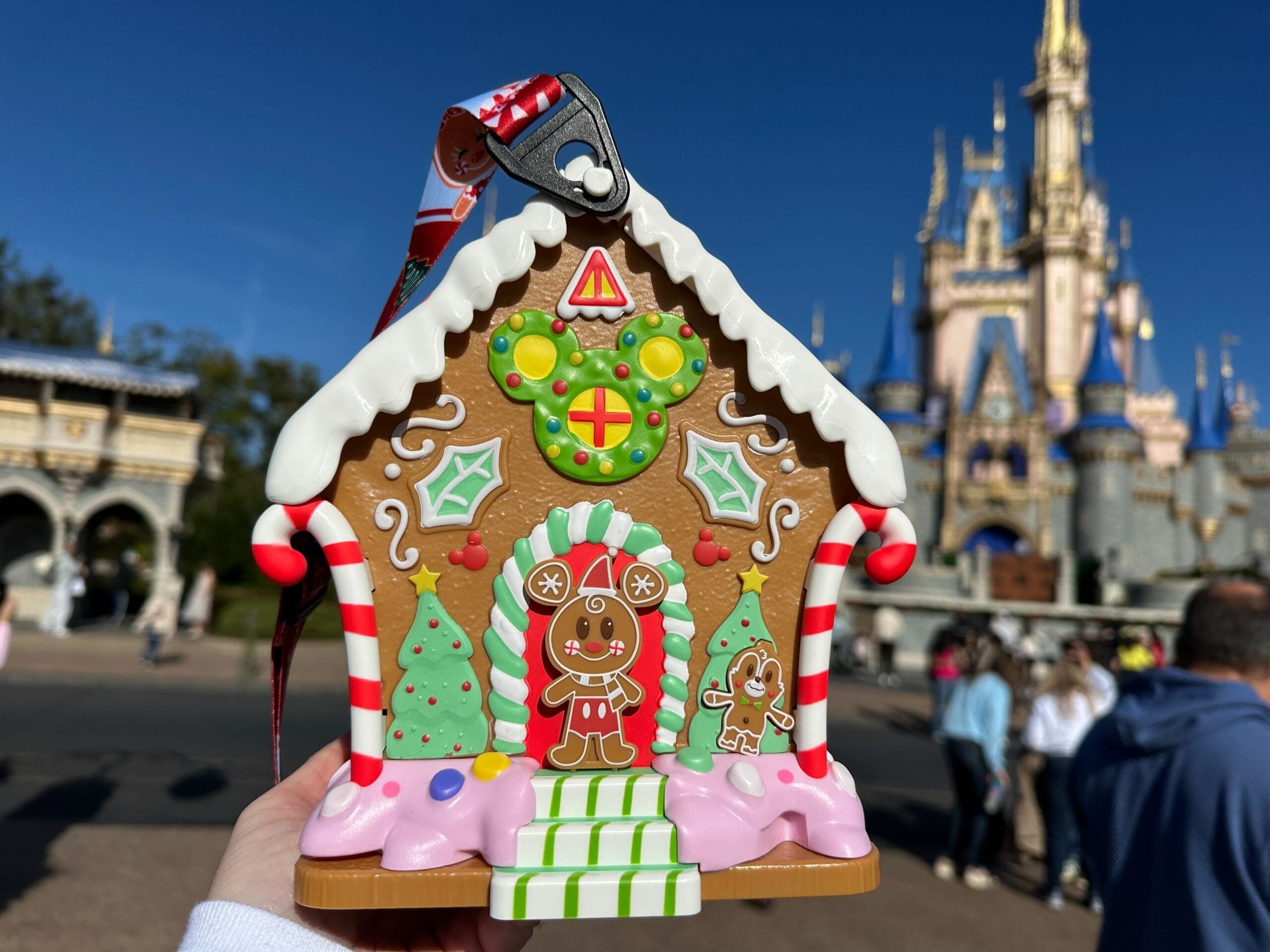 A hand holds a gingerbread house purse and Disney Popcorn Bucket in front of a castle at a theme park on a sunny day.