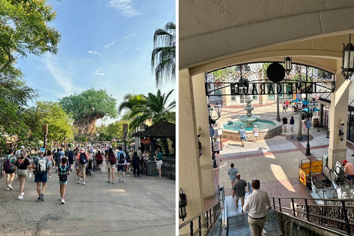 Left: Crowds walk toward a large tree at Disney Springs. Right: People gather near a fountain in a sunny, open plaza.