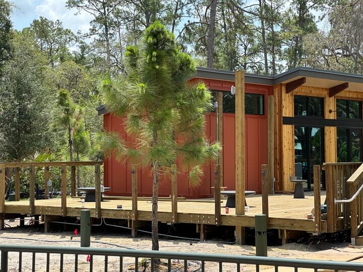 A small pine tree stands before a modern DVC Cabin at Disney’s Fort Wilderness Resort, surrounded by tall trees.