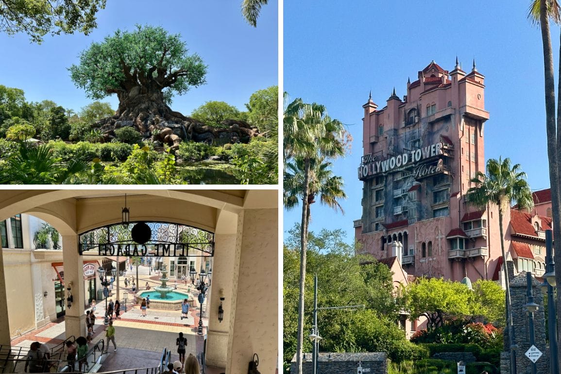 A collage shows the Tree of Life, Hollywood Studios' Tower Hotel, and an entrance view of Animal Kingdom.