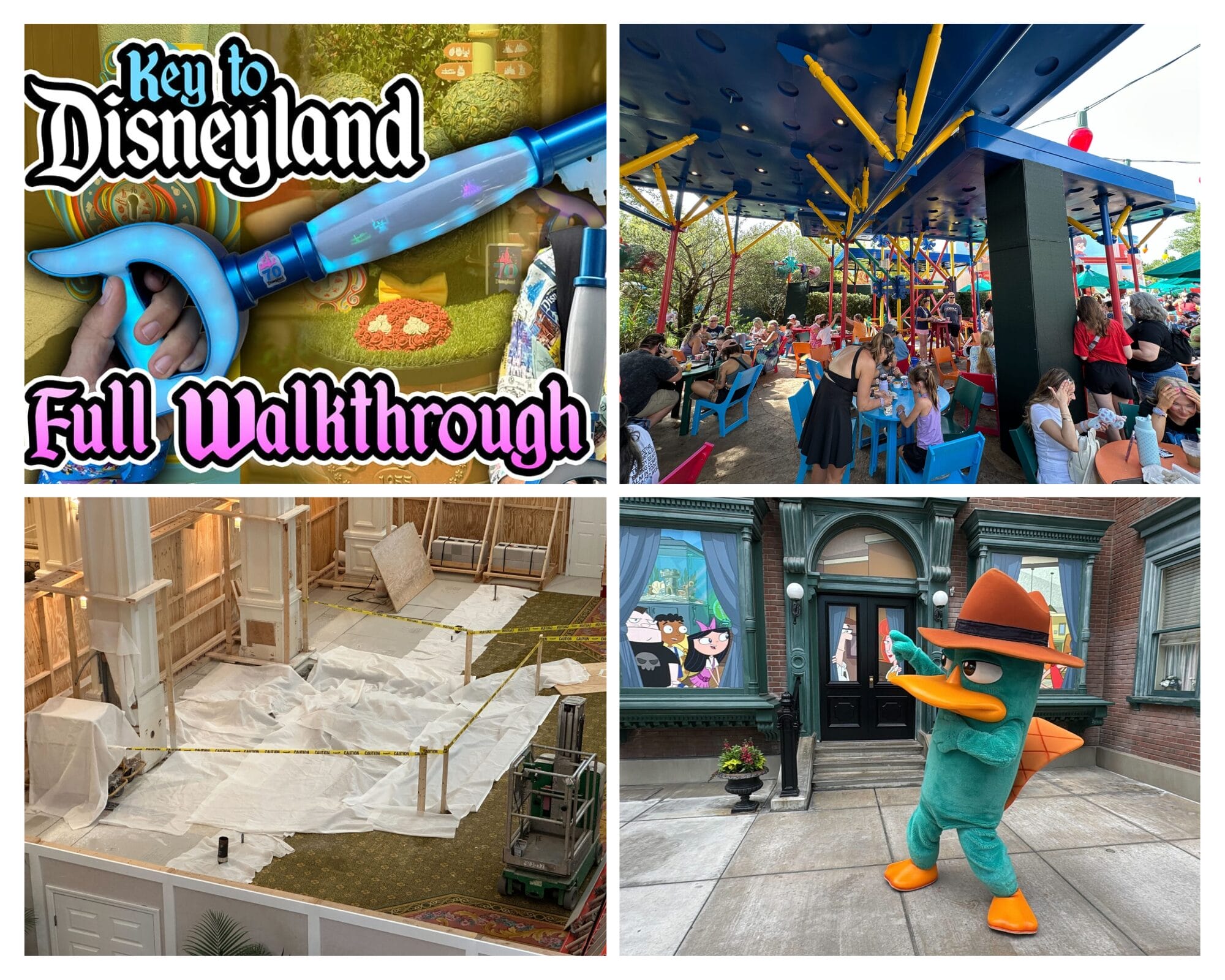 A collage of four images captures the Disneyland experience—rides, a character, and themed decor.
