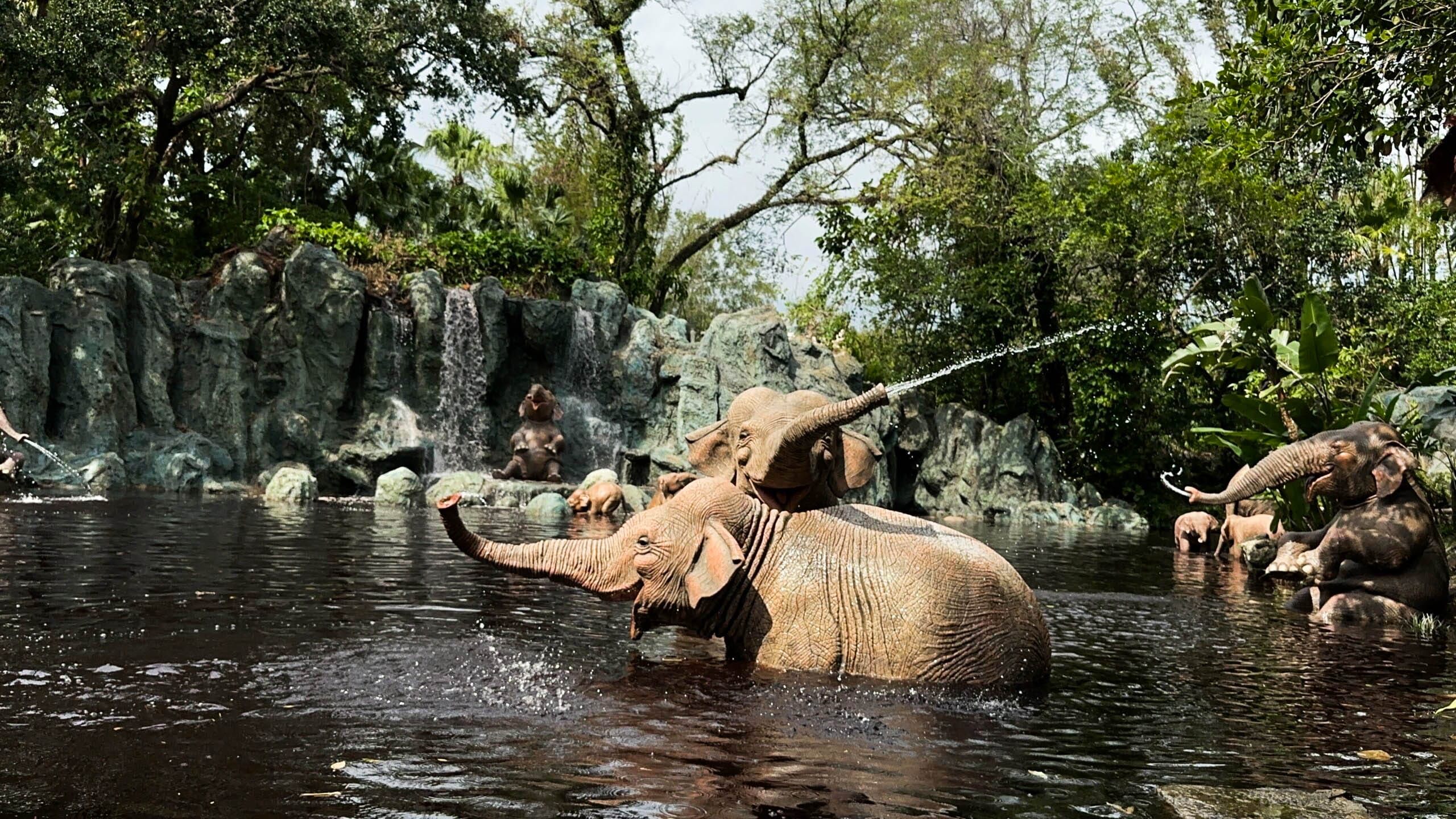 Two elephants play in a pond at Adventureland, one spraying water from its trunk; more are seen in the background.