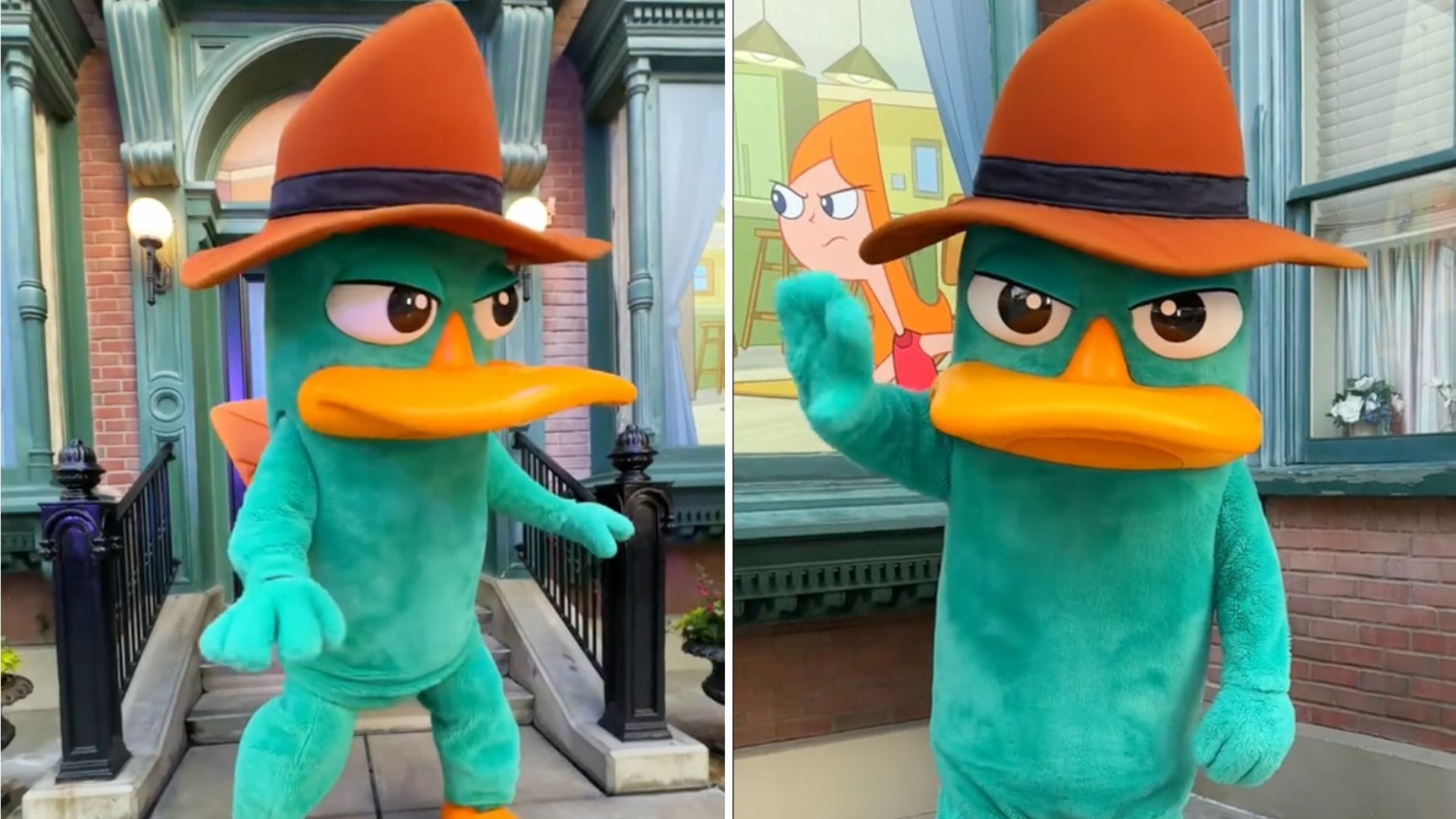 A person in a Perry the Platypus costume waves during a Meet and Greet at Disney California Adventure.