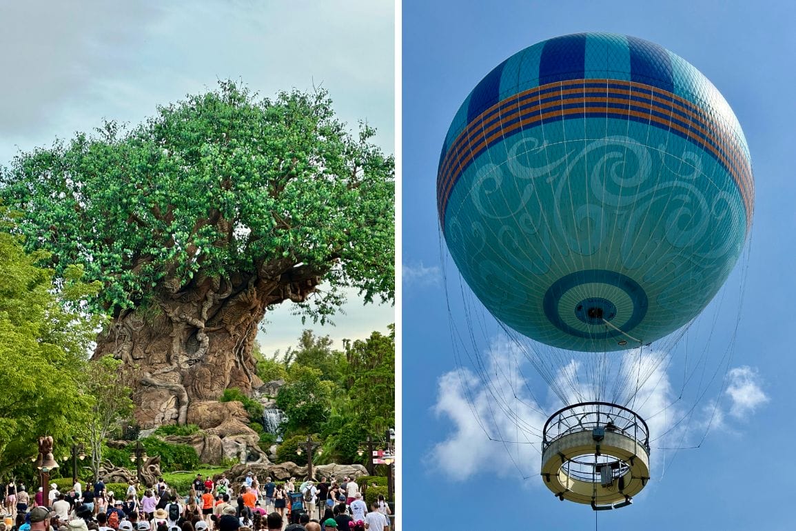 Crowd gathers near Disney World's large artificial tree; colorful hot air balloon floats in the Animal Kingdom sky.