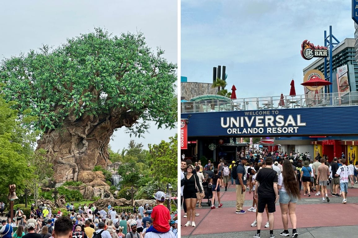 Split image: left, crowds at Disney's Animal Kingdom; right, visitors entering Universal Studios Florida.
