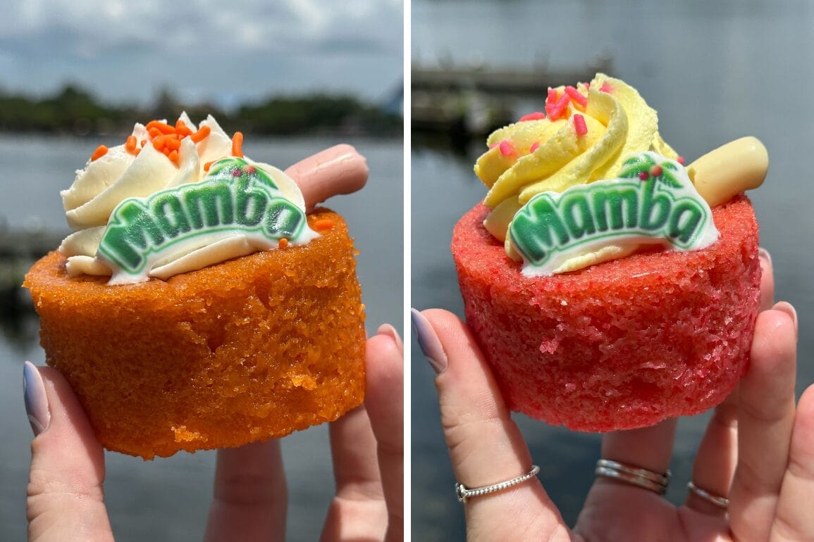 Two hands hold Mamba Cakes with “Mamba” toppers and pipettes, set against a blurred outdoor water background at EPCOT.